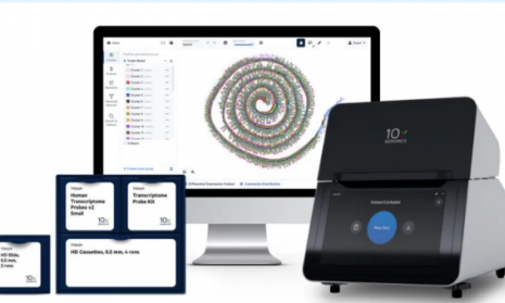 伯豪生物首例 HD 高分辨率空間轉(zhuǎn)錄組實驗已順利完成