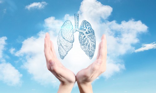 Nat Commun | 基于單細(xì)胞和空間轉(zhuǎn)錄組學(xué)分析構(gòu)建 NSCLC 免疫和非免疫區(qū)圖譜