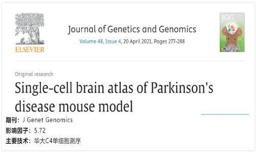 文獻(xiàn)解讀 | 帕金森病小鼠模型腦單細(xì)胞圖譜