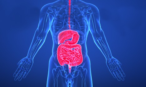 項目文章 | 腸道粘膜免疫細胞分析顯示，在免疫無反應者中，濾泡或記憶 B 細胞與漿細胞之間存在分化阻礙