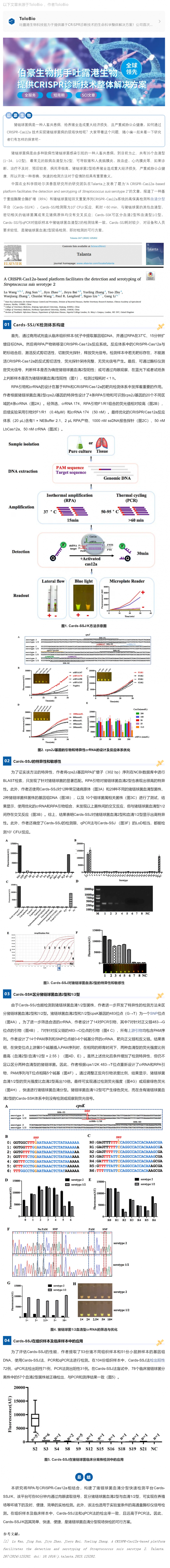 CRISPR 智庫 _ CRISPR-Cas12a 系統(tǒng)實現(xiàn)豬鏈球菌病現(xiàn)場快檢