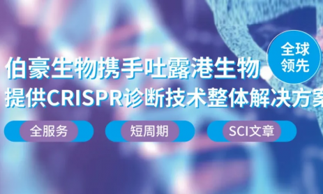 CRISPR 智庫 | CRISPR-Cas12a 系統(tǒng)實現(xiàn)豬鏈球菌病現(xiàn)場快檢