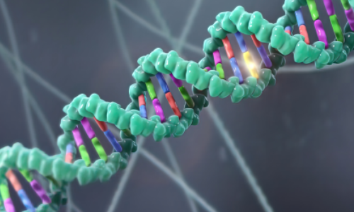 FFPE 樣本時(shí)空組學(xué)解決方案