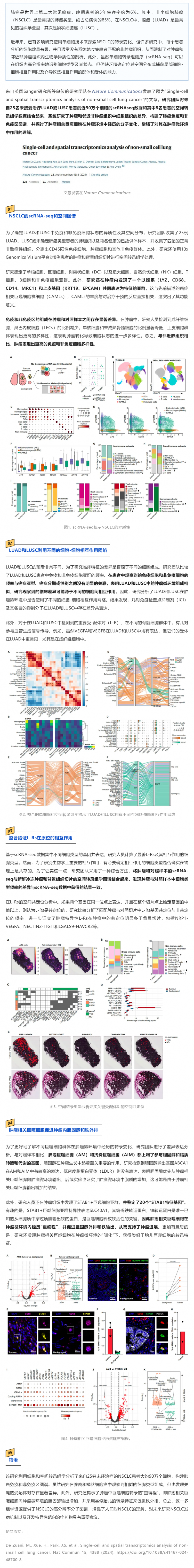 Nat Commun _ 基于單細胞和空間轉(zhuǎn)錄組學分析構(gòu)建 NSCLC 免疫和非免疫區(qū)圖譜