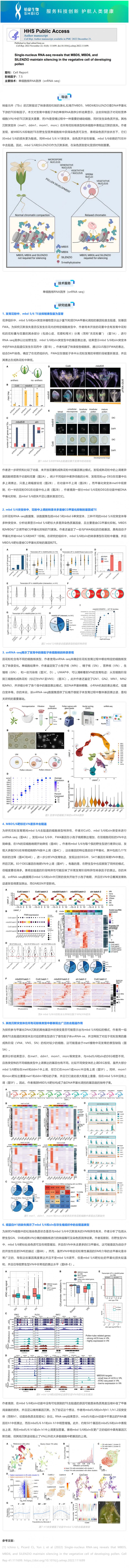 2024-08-16 文獻(xiàn)解讀 _ 單細(xì)胞核 RNA 測序表明 MBD5、MBD6 和 SILENZIO 在發(fā)育花粉的營養(yǎng)細(xì)胞中沉默基