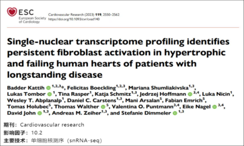 文獻(xiàn)解讀 | 單核轉(zhuǎn)錄組揭示長(zhǎng)期肥厚和衰竭的人類(lèi)心臟中成纖維細(xì)胞持續(xù)激活
