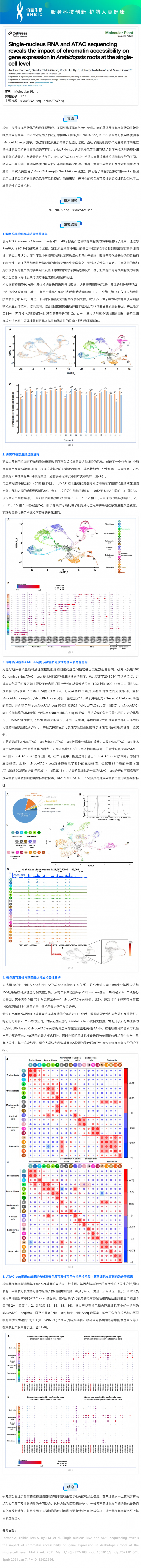 文獻(xiàn)解讀 _ 單核 RNA 和 ATAC 測(cè)序揭示了染色質(zhì)可及性對(duì)擬南芥根部單細(xì)胞水平基因表達(dá)的影響
