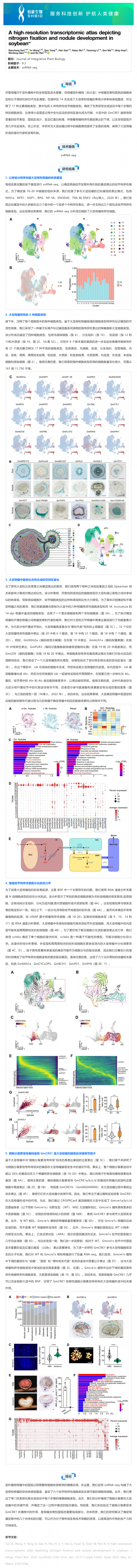 8 月 27 日 文獻(xiàn)解讀 _ 高分辨率的轉(zhuǎn)錄組圖譜描繪大豆固氮和根瘤發(fā)育