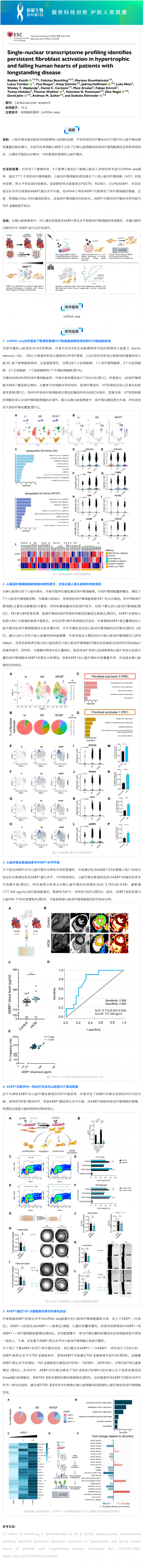 文獻(xiàn)解讀 _ 單核轉(zhuǎn)錄組揭示長(zhǎng)期肥厚和衰竭的人類(lèi)心臟中成纖維細(xì)持續(xù)胞激活