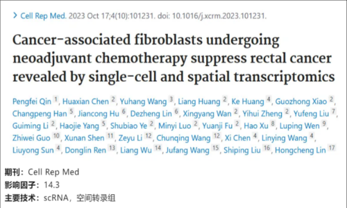 文獻(xiàn)解讀 | 單細(xì)胞和空間轉(zhuǎn)錄組學(xué)揭示直腸癌新輔助化療癌癥相關(guān)成纖維細(xì)胞的抑制作用