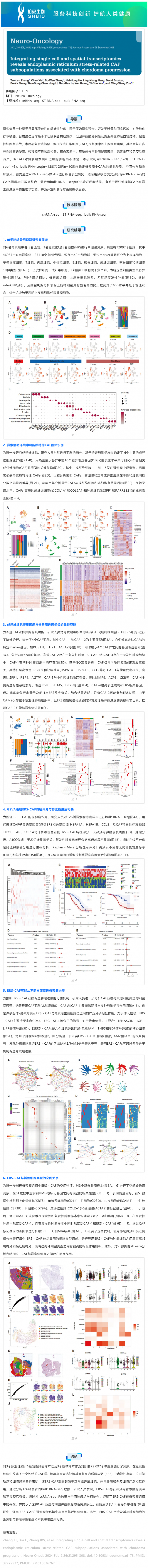 文獻解讀 _ 整合單細胞和空間轉(zhuǎn)錄組學揭示與脊索瘤進展相關(guān)的內(nèi)質(zhì)網(wǎng)應(yīng)激相關(guān) CAF 亞群