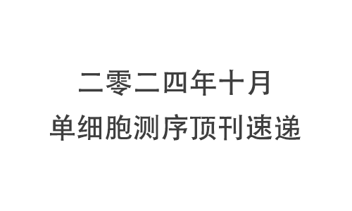 十月高分文獻速遞 |2024 單細胞轉(zhuǎn)錄組系列