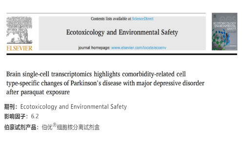 項(xiàng)目文章 | 腦單細(xì)胞轉(zhuǎn)錄組學(xué)結(jié)果揭示了：百草枯對帕金森病伴重度抑郁癥的共病相關(guān)細(xì)胞類型特異性變化的影響