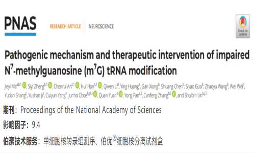 項(xiàng)目文章 | 單細(xì)胞核轉(zhuǎn)錄組測序揭示 N7- 甲基鳥苷酸（m7G）tRNA 修飾減弱的致病機(jī)理