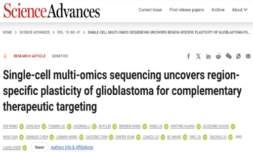 Sci Adv | 陳亮 / 劉寶輝 / 顧穎利用單細(xì)胞多組學(xué)探秘膠質(zhì)瘤的空間異質(zhì)性