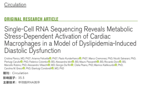 文獻解讀 | 單細胞 RNA 測序揭示血脂異常誘導(dǎo)的舒張功能障礙模型中心臟巨噬細胞代謝應(yīng)激依賴性激活