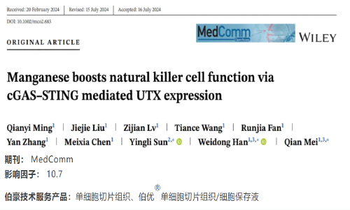項(xiàng)目文章 | 單細(xì)胞轉(zhuǎn)錄組測(cè)序揭示錳離子在腫瘤 NK 細(xì)胞功能調(diào)控中的角色
