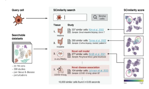 人類細(xì)胞圖譜的計(jì)算技術(shù) - 細(xì)胞類型注釋