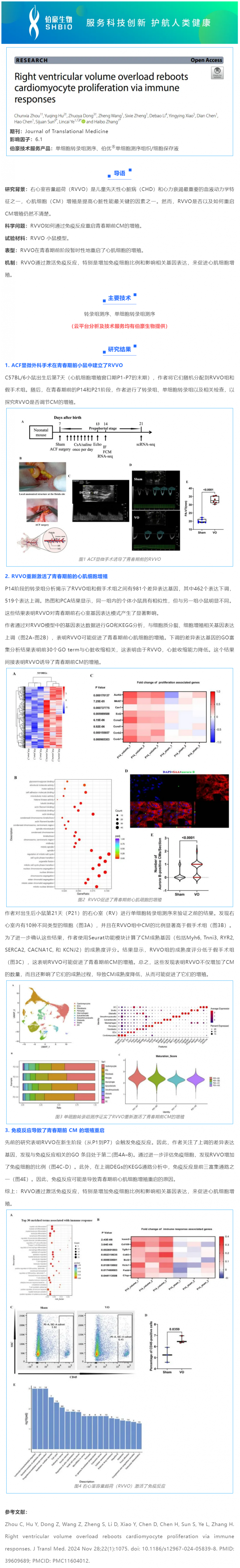 項(xiàng)目文章 _ 單細(xì)胞轉(zhuǎn)錄組測(cè)序揭示右心室容量超荷會(huì)通過(guò)免疫反應(yīng)重啟心肌細(xì)胞的增殖