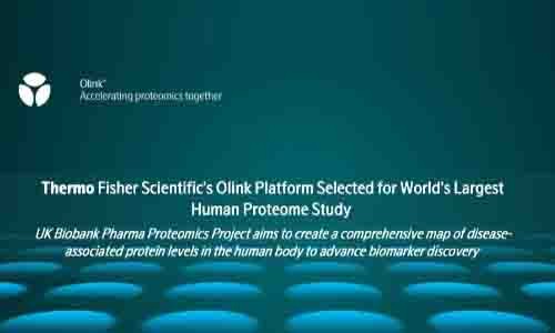 新聞 |UKB-PPP 選擇 Olink 進行 60 萬份全球最大規(guī)模人類蛋白組研究