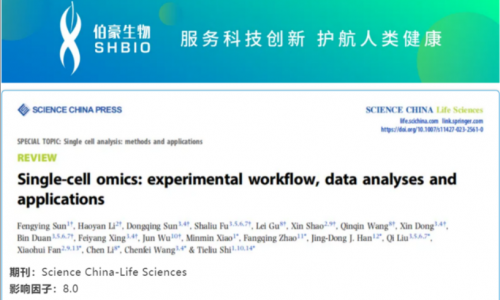 時空組學(xué)研究進展（二）| 單細胞 RNA 測序數(shù)據(jù)的分析方法