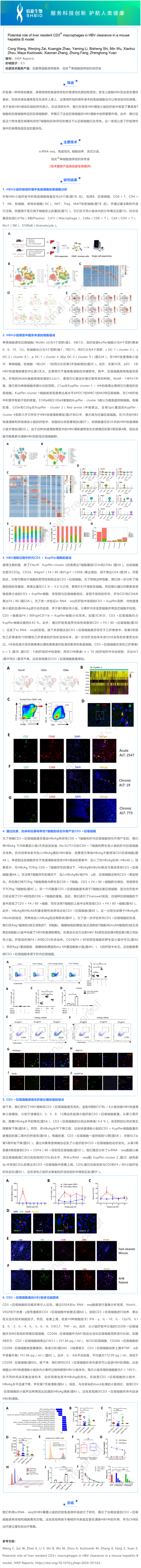 項(xiàng)目文章 _ 肝臟駐留的 CD3 + 巨噬細(xì)胞在小鼠乙型肝炎模型中 HBV 清除的潛在作用
