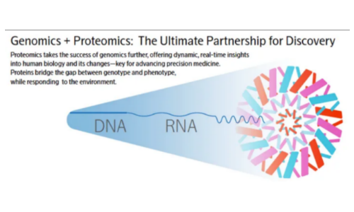 新品發(fā)布 |Olink?? Reveal 基于 NGS 的新一代蛋白組學(xué)