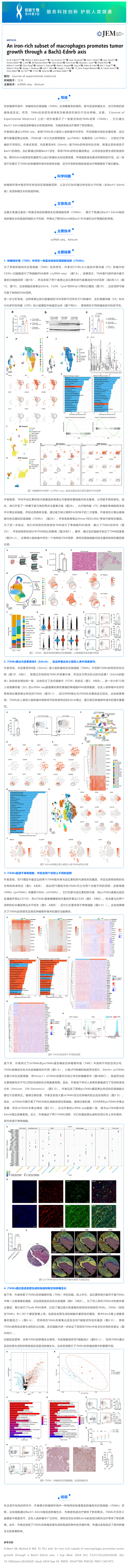 單細(xì)胞空間原位檢測技術(shù) _ 富含鐵的巨噬細(xì)胞亞群通過 Bach1-Ednrb 軸促進(jìn)腫瘤生長