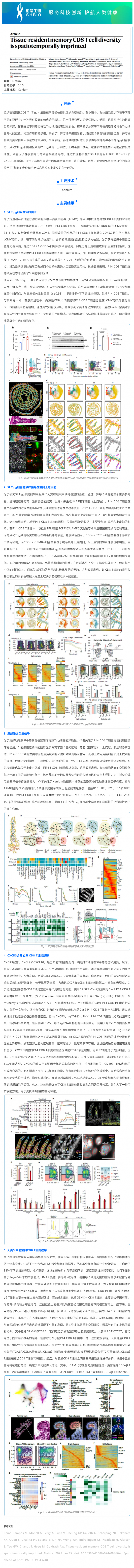 單細(xì)胞空間原位檢測技術(shù)丨組織駐留記憶 CD8 T 細(xì)胞多樣性具有時空印記