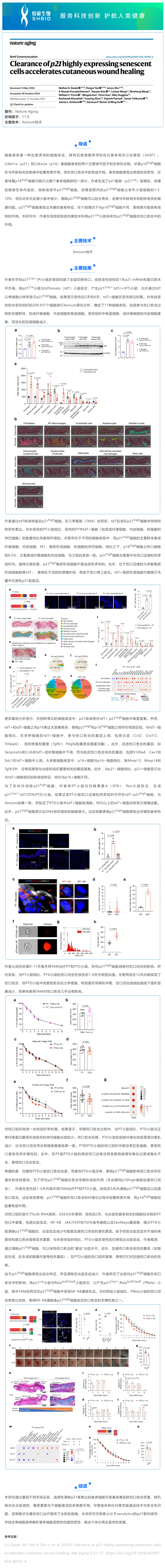 單細(xì)胞空間原位檢測(cè)技術(shù)_清除高表達(dá) p21 基因的衰老細(xì)胞加速皮膚傷口愈合