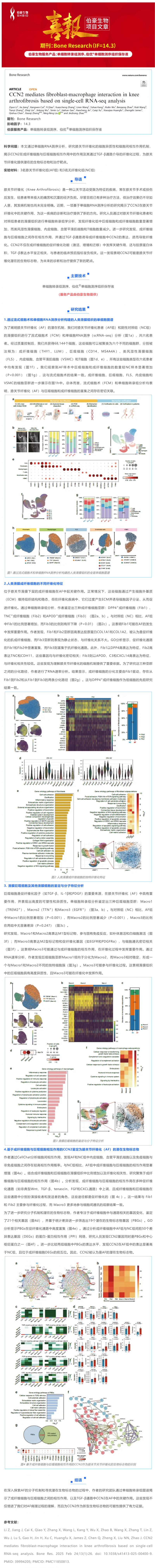 項目文章 | 單細胞轉(zhuǎn)錄組學揭示 CCN2 在膝關節(jié)纖維化中如何調(diào)控成纖維細胞與巨噬細胞的相互作用