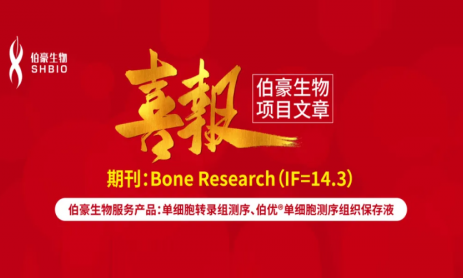 項目文章 | 單細胞轉錄組學揭示 CCN2 在膝關節(jié)纖維化中如何調控成纖維細胞與巨噬細胞的相互作用