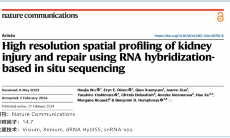 單細胞空間原位檢測技術丨利用原位測序技術對腎損傷與修復進行高分辨率分析