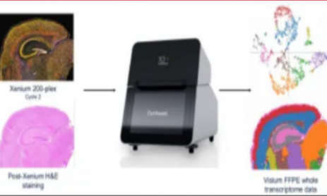 突破極限！單張樣本完成 Xenium+Visium HD 全流程實驗及分析！
