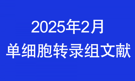 2025 頂刊文獻速遞 | 單細胞轉錄組系列（2 月）