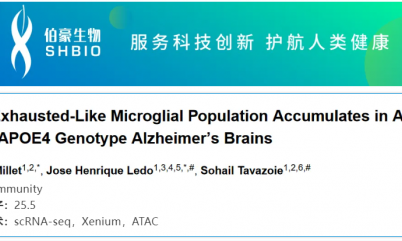 單細胞空間原位檢測技術 | 耗竭樣小膠質細胞在老年和 APOE4 型阿爾茨海默癥患者大腦中富集