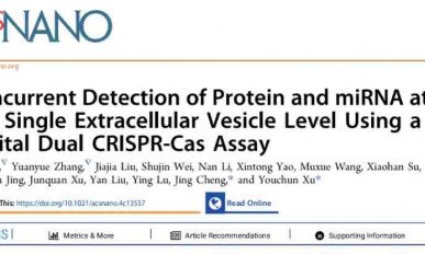 CRISPR 智庫 | 數(shù)字雙 CRISPR-Cas 系統(tǒng)：EVs 蛋白及 miRNA 多重檢