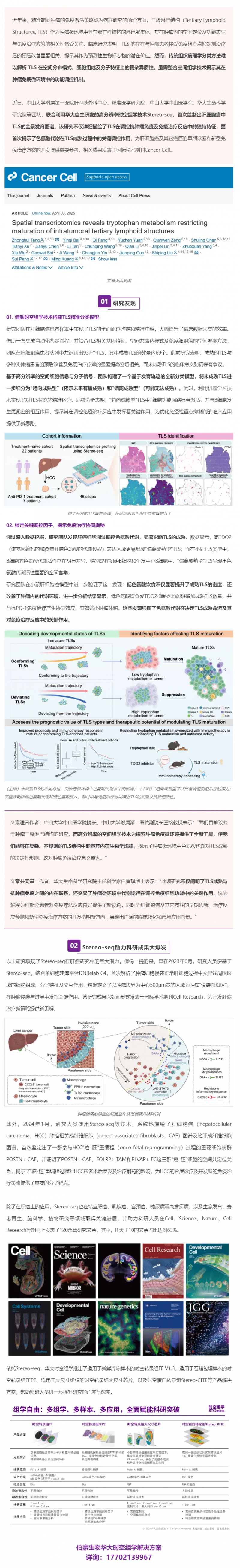 Cancer Cell _ 首個(gè)肝細(xì)胞癌中 TLS 的全景發(fā)育圖譜！Stereo-seq 助力肝癌研究再獲