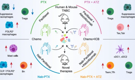 2025 頂刊文獻(xiàn)速遞 | 單細(xì)胞轉(zhuǎn)錄組系列（3 月）