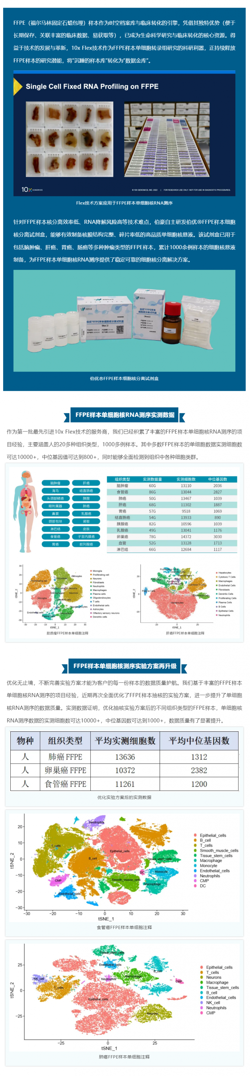 技術(shù)突破 _ FFPE 樣本產(chǎn)出高質(zhì)量單細胞數(shù)據(jù)的秘籍