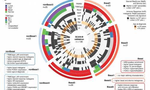 Nat Commun | 瑞典科學(xué)家繪制“乳腺癌之王”DNA 甲基化圖譜，揭示兩種表觀遺傳亞型