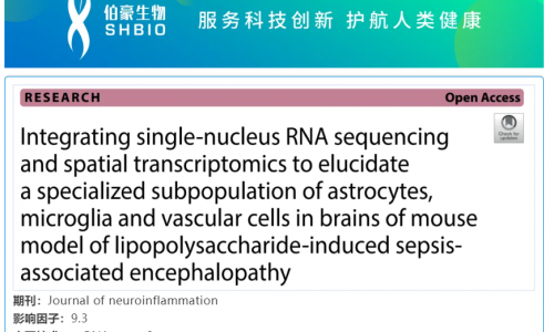 華大 DNBelab C 系列 | 單核 RNA 測序聯(lián)合空間轉(zhuǎn)錄組學(xué)揭示脂多糖致膿毒癥腦病小鼠模型膠質(zhì)細(xì)胞和血管細(xì)胞特殊亞群