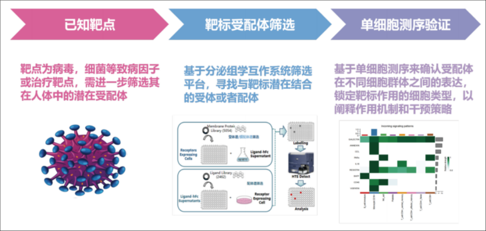 應(yīng)用案例一
