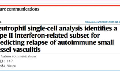 文獻(xiàn)解讀 | 中性粒細(xì)胞單細(xì)胞分析確定了 II 型干擾素相關(guān)子集，用于預(yù)測(cè)自身免疫性小血管血管炎的復(fù)發(fā)
