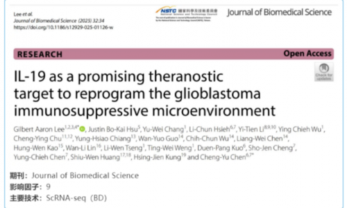 文獻(xiàn)解讀 | IL-19 在重編程膠質(zhì)母細(xì)胞瘤免疫抑制微環(huán)境中的靶點(diǎn)意義