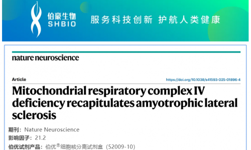 細(xì)胞核分離試劑盒應(yīng)用文章 | 線粒體呼吸鏈復(fù)合體 IV 缺陷重現(xiàn)肌萎縮側(cè)索硬化癥表型