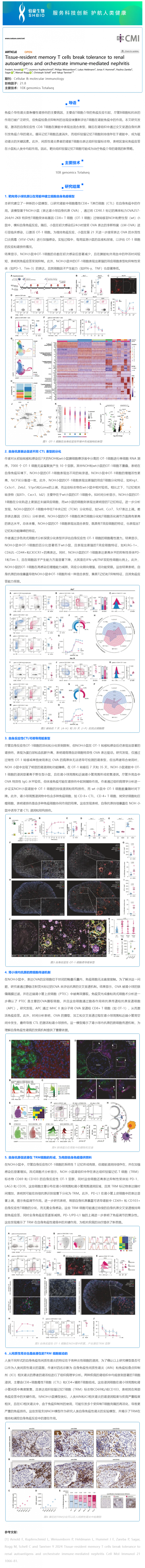 文獻(xiàn)解讀 _ 組織駐留記憶 T 細(xì)胞參與免疫介導(dǎo)的腎炎