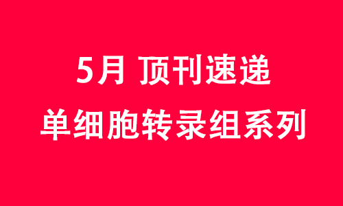 2025 頂刊文獻速遞 | 單細胞轉(zhuǎn)錄組系列（5 月）