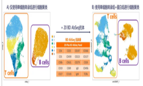 不僅可以攻克細胞亞群注釋難題！單細胞轉(zhuǎn)錄組聯(lián)合膜蛋白測序還可以……（內(nèi)含福利）