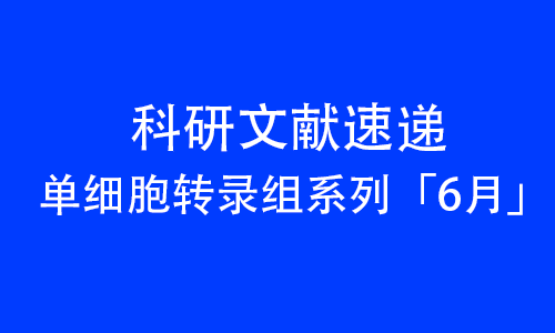 2025 頂刊文獻速遞 _ 單細胞轉(zhuǎn)錄組系列（6 月）